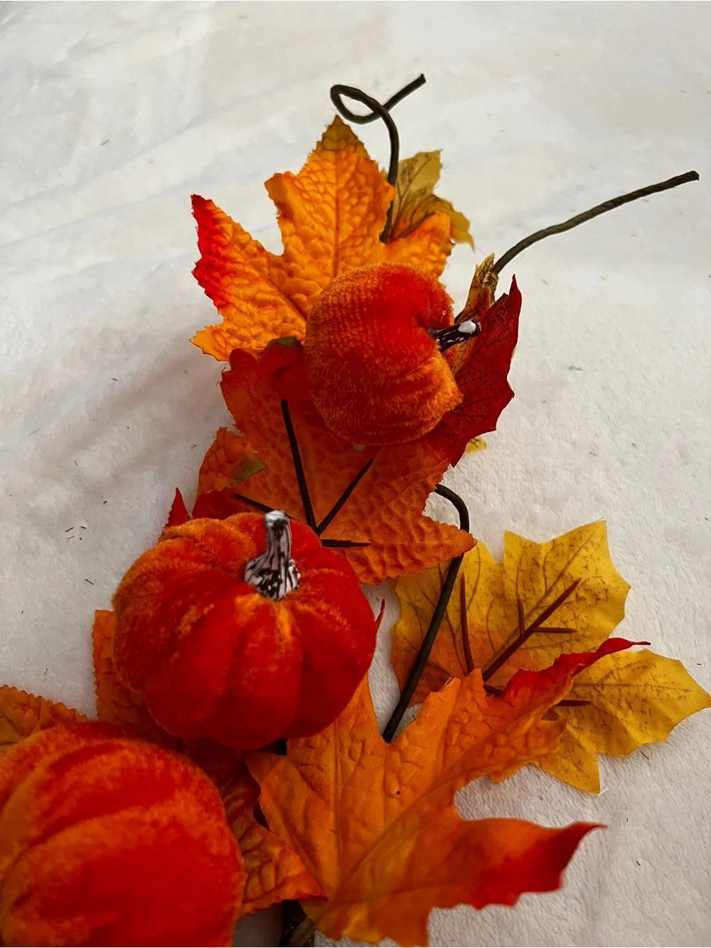 Joyful Goods new harvest
